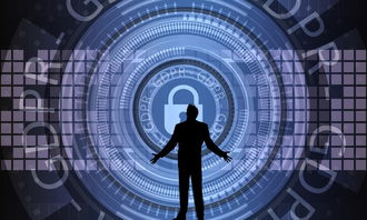 九游app-中国篮球联赛赛事安全管理优化与执行研究，篮球赛事安全风险